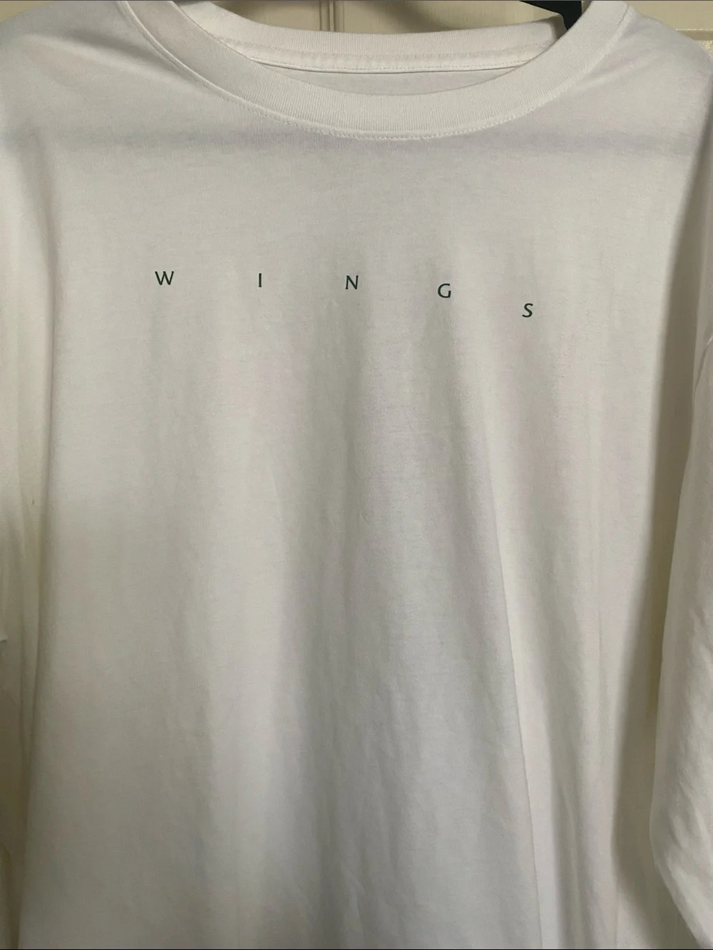 Jordan ASW 2020 The Wings Long Sleeve Graphic Tee